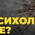 Есть ли место психологии в Исламе Абу Яхья Крымский Пользы из уроков по хадисам