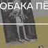 Беричитай трогательная история о дружбе Собака Пёс