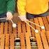 마림바가 들려주는 메이플 스토리 에레브 수련의 숲 Raindrops Flower Pulse Marimba Cover