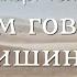 Экхарт Толле Введение О чем говорит тишина
