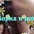 Моем моем чисто чисто