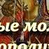 Сильные молитвы о благополучии и счастье в семье Особая вычитка
