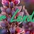 Top 20 Happy Songs Of Victor Lundberg Chill Vibes Playlist After A Long Day Laid Back Music