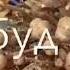 Дар точикистон табобати вируса ёфтан