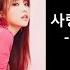 홍진영 사랑의배터리가사