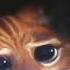 Sneak Peeks From Shrek 3 D 2004 DVD