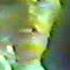 David Bowie Young Americans RCA Mainman Promo TV Advert 1975