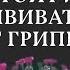 Как открыли вирус убивший 50 миллионов человек Почему мы еще живы