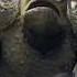 THE FANTASTIC FOUR TV Spot Reveals First Look At Mole Man S Monster
