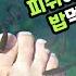 하와이에 비밀 연못이 나만 알고 싶은 오아시스 오동통 닥터 피쉬는 안비밀ㅎ