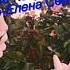 ЧЕ ТЕ НАДО Песня для позитива сюмором веселаяпесня