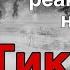 Зайчик реакция на ТТ HellyMove Tiny Bunny Ура спасибо за 900 подписчиков