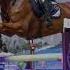 Конный спорт Эдит Horse Music Equestrian лошади Dj Edit какаяесть Roblox Horsejumping Anim