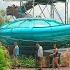 Aquatica Orlando Slides Attractions 2025