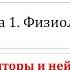 Физиология Глава 1 Клетка Урок 4 Рецепторы и нейромедиаторы