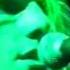 Янг Ганз Young Guns Янг Ганз Wilde Roses Vocal James RIP BRO