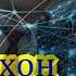 САФДАРХОН МИРБОЗХОНОВ 2021 МОЛИ ХУДАТ БОШ