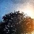 Most Beautiful Emotional Music Emotional Music Mix Best Of Falk Wünsch