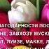 Выпускной