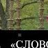 Ридинг группа по научной фантастике Слово для леса и мира одно Вторая встреча