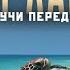 ШРИ ЛАНКА 2025 Исследуем лучшие пляжи Отели цены еда Научиться серфингу за 5 уроков