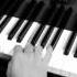 Piano On Demand 008 New Horizons Tenishia Piano Cover