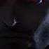 DEREK HALE