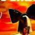 Zayn Dusk Till Dawn Feat Sia A R E Remix