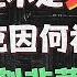 比特币是不是 杀猪盘 马斯克因何被评为 年度割韭菜大师