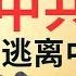 杜文绝地反击 中共官员外逃指南 中共没收我的家人100万 我让中共损失100亿