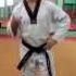 Taekwondo WTF Стойки Вводная информация