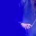 David Garrett Rock Prelude Live Art On Ice 2010