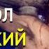 Армянский бред достиг пика Baku TV