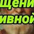 МОЛИТВА НА ОЧИЩЕНИЕ ДОМА ОТ НЕГАТИВА СИЛЬНАЯ ЗАЩИТА ОТ ПОСТОРОННЕГО ВОЗДЕЙСТВИЯ