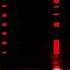 Sam Feldt Benny Bridges Dance With Somebody Piano Synthesia Version