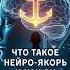 Откройте для себя тайны нейроякорей