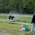 Bear Spray Practice