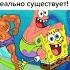 Губка Боб в жизни