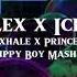 Skrillex X Ice Spice Inhale Exhale X Princess Diana Slippy Boy Mashup
