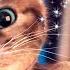 ПРИКЛЮЧЕНИЕ МАЛЕНЬКОГО КОТЕНКА Игры для детей и малышей ПРО КОТЯТ