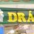 Dráčik Duvi