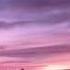 Beethoven String Quartet No 13 In B Flat Op 130 V Cavatina Adagio Molto Espressivo