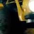 Transformers What I Ve Done