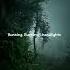 Alan Walker Alok Headlights Aesthetic Video Remix Alanwalker Darker Headlight