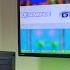 Turning A 10 Original Xbox Into An Awesome Emulation Device MVG