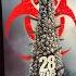 28yearslatermovie 28YearsLater AMC Fullerton Shorts