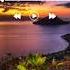 LIRIK K3NZH Still 50 TikTok Remix Dr Dre Ft 50 Cent