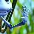 A BUG S LIFE Flik Dot It S A Rock Scene In 25 Languages