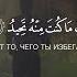 Сура Каф Каф Чтец Muhammad Tariq