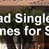 Carlsbad Single Story Homes For Sale